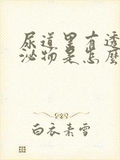 尿道里有透明分泌物是怎么回事