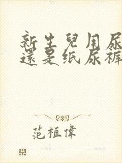 新生儿用尿布好还是纸尿裤好