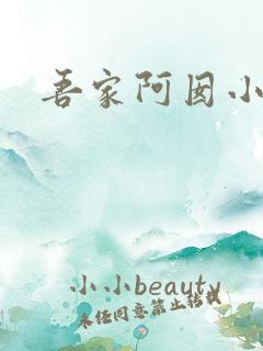 吾家阿囡小说