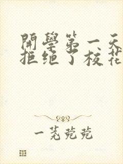 开学第一天,我拒绝了校花表白