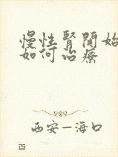 慢性肾开始衰竭如何治疗