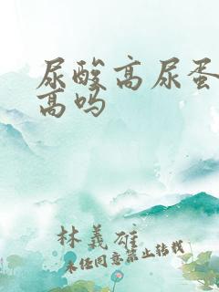 尿酸高尿蛋白会高吗