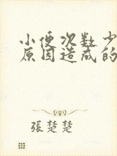 小便次数少什么原因造成的