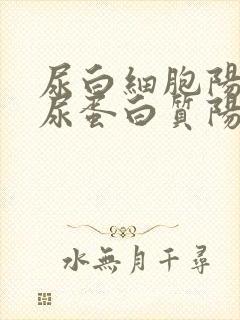 尿白细胞阳性,尿蛋白质阳性是咋回事