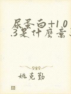 尿蛋白+1 0.3是什么意思