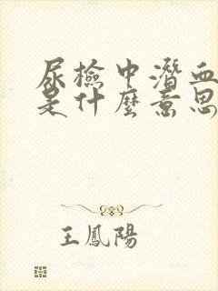 尿检中潜血3+是什么意思