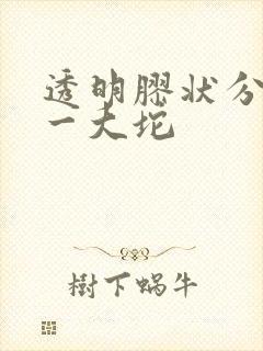 透明胶状分泌物一大坨