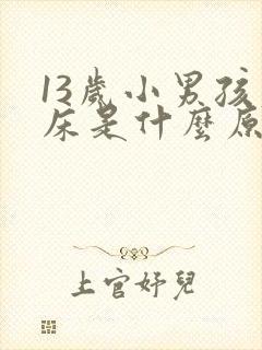 13岁小男孩尿床是什么原因引起的