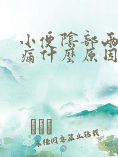 小便阴部两侧疼痛什么原因