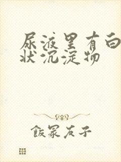 尿液里有白色絮状沉淀物