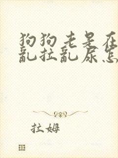 狗狗老是在家里乱拉乱尿怎么办