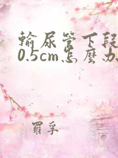 输尿管下段结石0.5cm怎么办