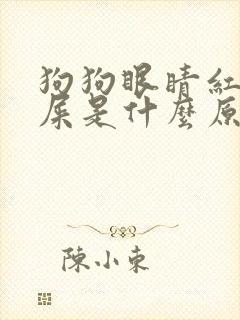 狗狗眼睛红有眼屎是什么原因