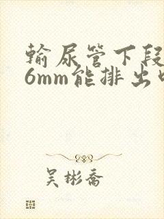 输尿管下段结石6mm能排出吗