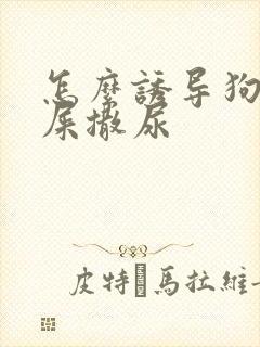 怎么诱导狗狗拉屎撒尿