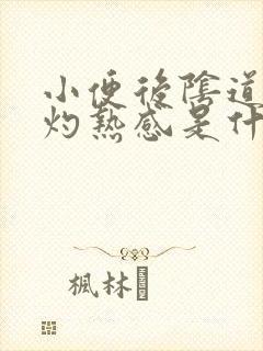 小便后阴道口有灼热感是什么原因