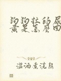 狗狗拉的尿特别黄是怎么回事