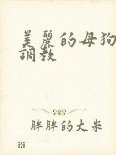 美丽的母狗女奴调教