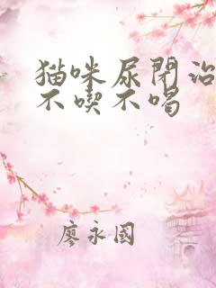 猫咪尿闭治疗后不吃不喝