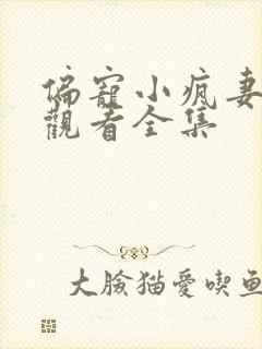 偏宠小疯妻免费观看全集