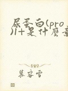 尿蛋白(pro)1+是什么意思