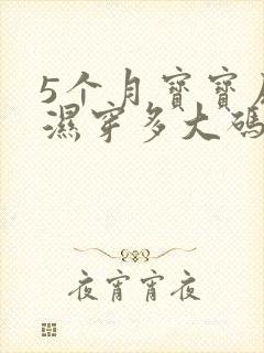 5个月宝宝尿不湿穿多大码