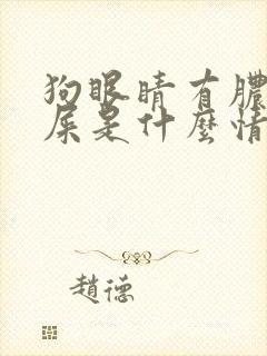 狗眼睛有脓状眼屎是什么情况