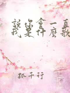 说你会一直爱着我是什么歌