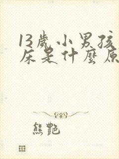 13岁小男孩尿床是什么原因引起的