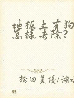 地板上有狗尿味怎样去除?