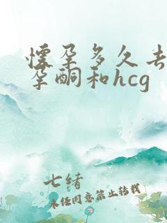 怀孕多久去检查孕酮和hcg