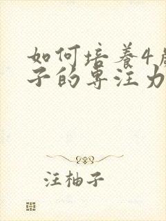 如何培养4岁孩子的专注力的十种方法