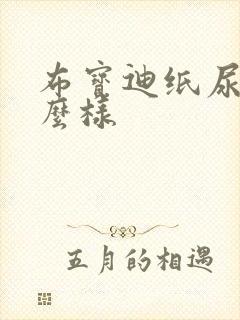 布宝迪纸尿裤怎么样