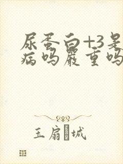 尿蛋白+3是肾病吗严重吗