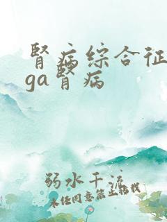 肾病综合征和iga肾病