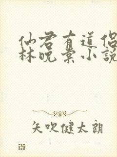 仙君有道侣催眠林晚棠小说最新章节