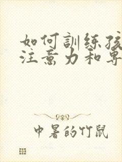 如何训练孩子的注意力和专注力