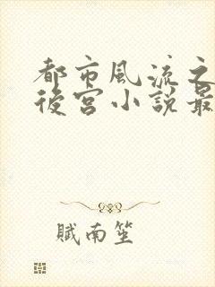 都市风流之风流后宫小说最新章节阅