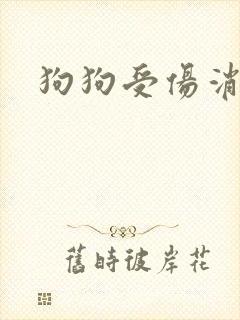 狗狗受伤消炎药