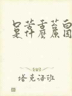 口苦舌苔白尿黄是什么原因