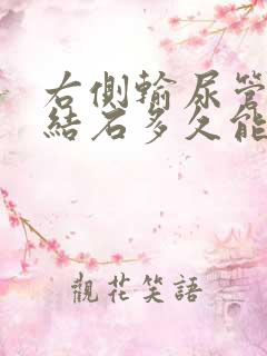 右侧输尿管上段结石多久能排出