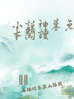 小说神墓免费全本阅读