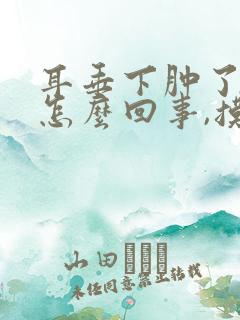 耳垂下肿了个包怎么回事,摸着疼