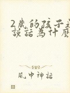 2岁的孩子还不说话为什么