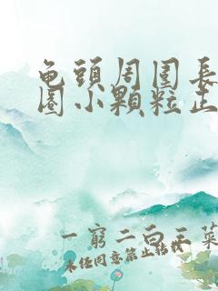 龟头周围长了一圈小颗粒正常吗