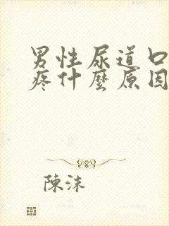 男性尿道口里面疼什么原因