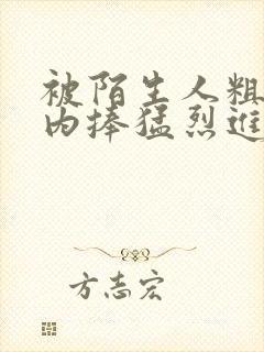 被陌生人粗大的内捧猛烈进出小说