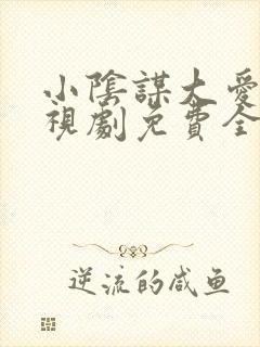 小阴谋大爱情电视剧免费全集在线看