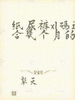 纸尿裤xl码适合几个月的宝宝