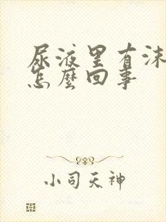 尿液里有沫子是怎么回事